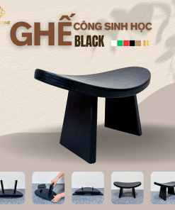 Ghế Công Sinh Học BLACK
