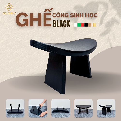 Ghế Công Sinh Học BLACK