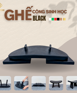 Ghế Công Sinh Học BLACK