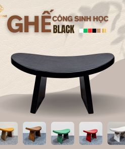 Ghế Công Sinh Học BLACK
