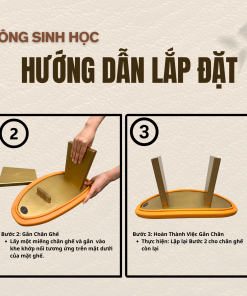 Ghế Công Sinh Học BLACK