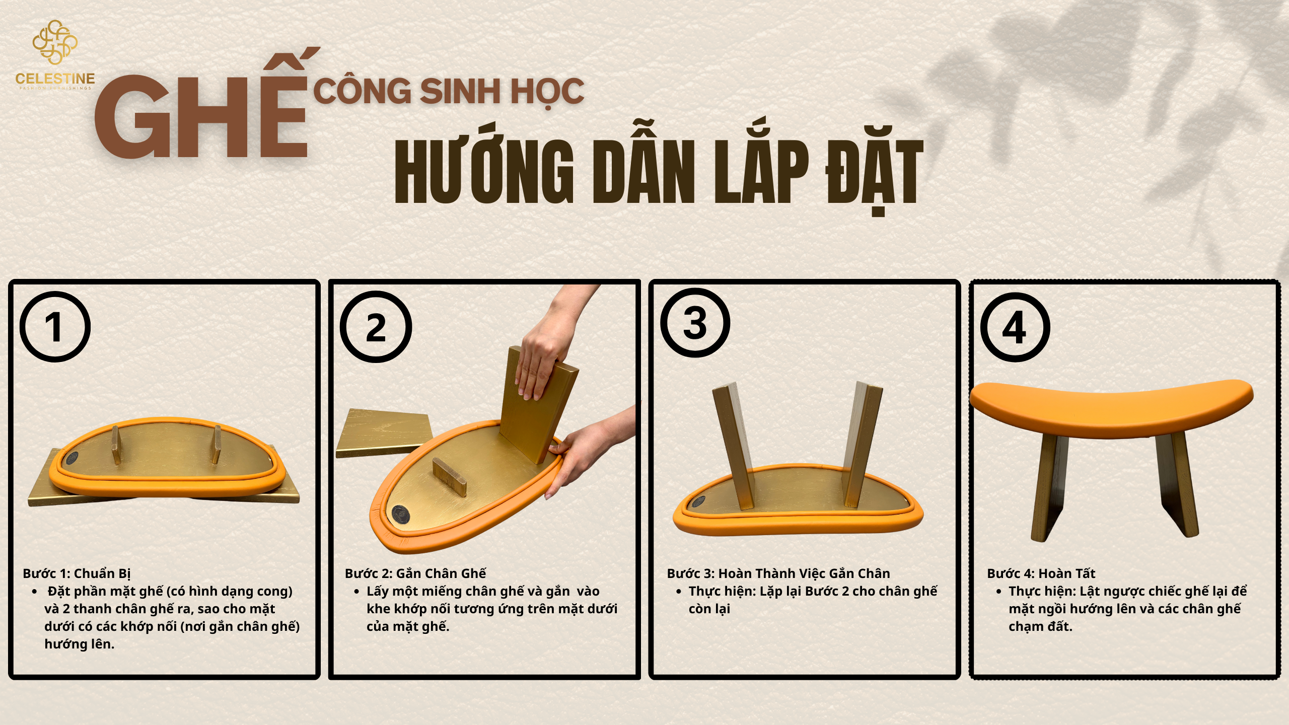 Ghế Công Sinh Học BLACK