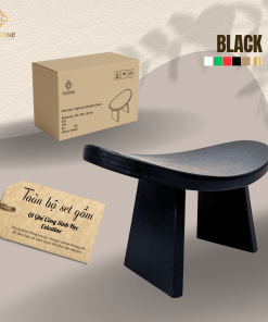 Ghế Công Sinh Học BLACK