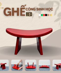 Ghế Công Sinh Học RED