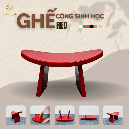Ghế Công Sinh Học RED