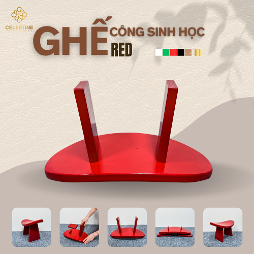 Ghế Công Sinh Học RED