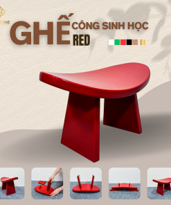 Ghế Công Sinh Học RED