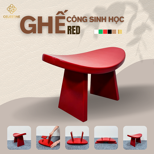 Ghế Công Sinh Học RED