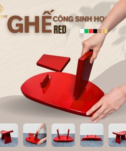 Ghế Công Sinh Học RED