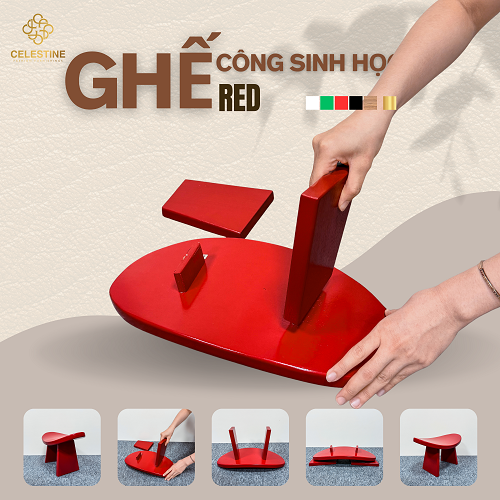 Ghế Công Sinh Học RED