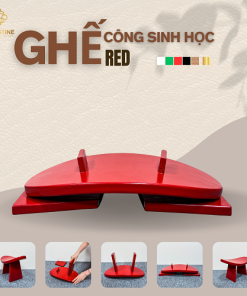 Ghế Công Sinh Học RED