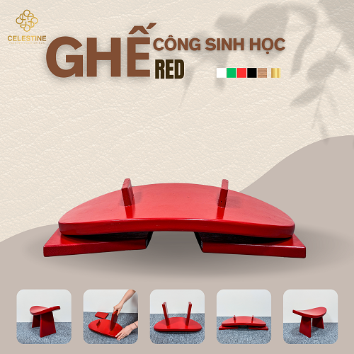 Ghế Công Sinh Học RED