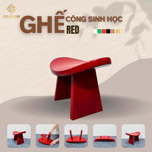 Ghế Công Sinh Học RED