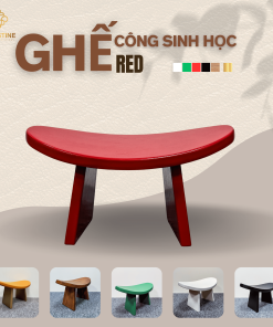 Ghế Công Sinh Học RED