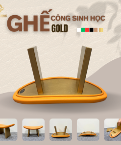 Ghế công sinh học GOLD với mê ngồi Microvibe