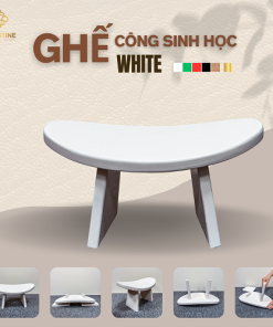 Ghế Công Sinh Học WHITE