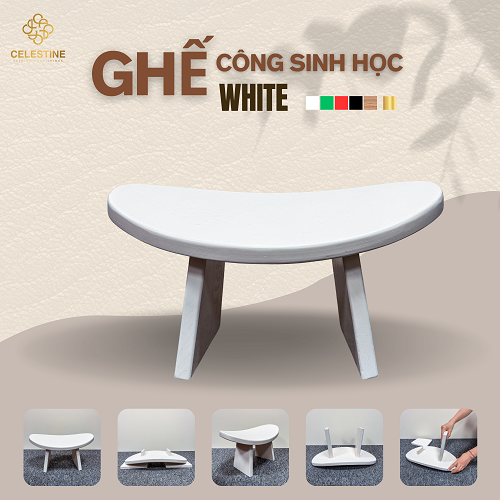 Ghế Công Sinh Học WHITE