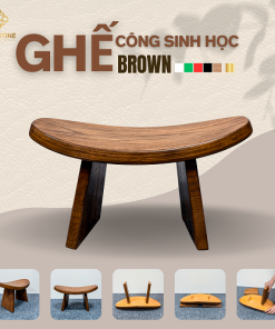 Ghế Công Sinh Học BROWN