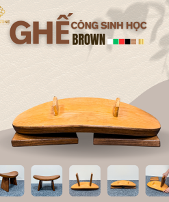 Ghế Công Sinh Học BROWN