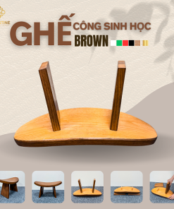 Ghế Công Sinh Học BROWN