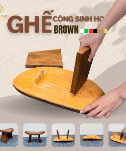 Ghế Công Sinh Học BROWN