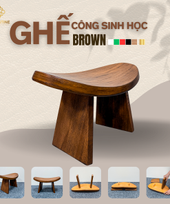Ghế Công Sinh Học BROWN
