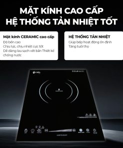 Bếp hồng ngoại Iruka I-110