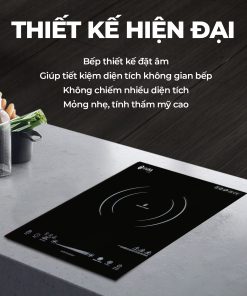 Bếp hồng ngoại Iruka I-110