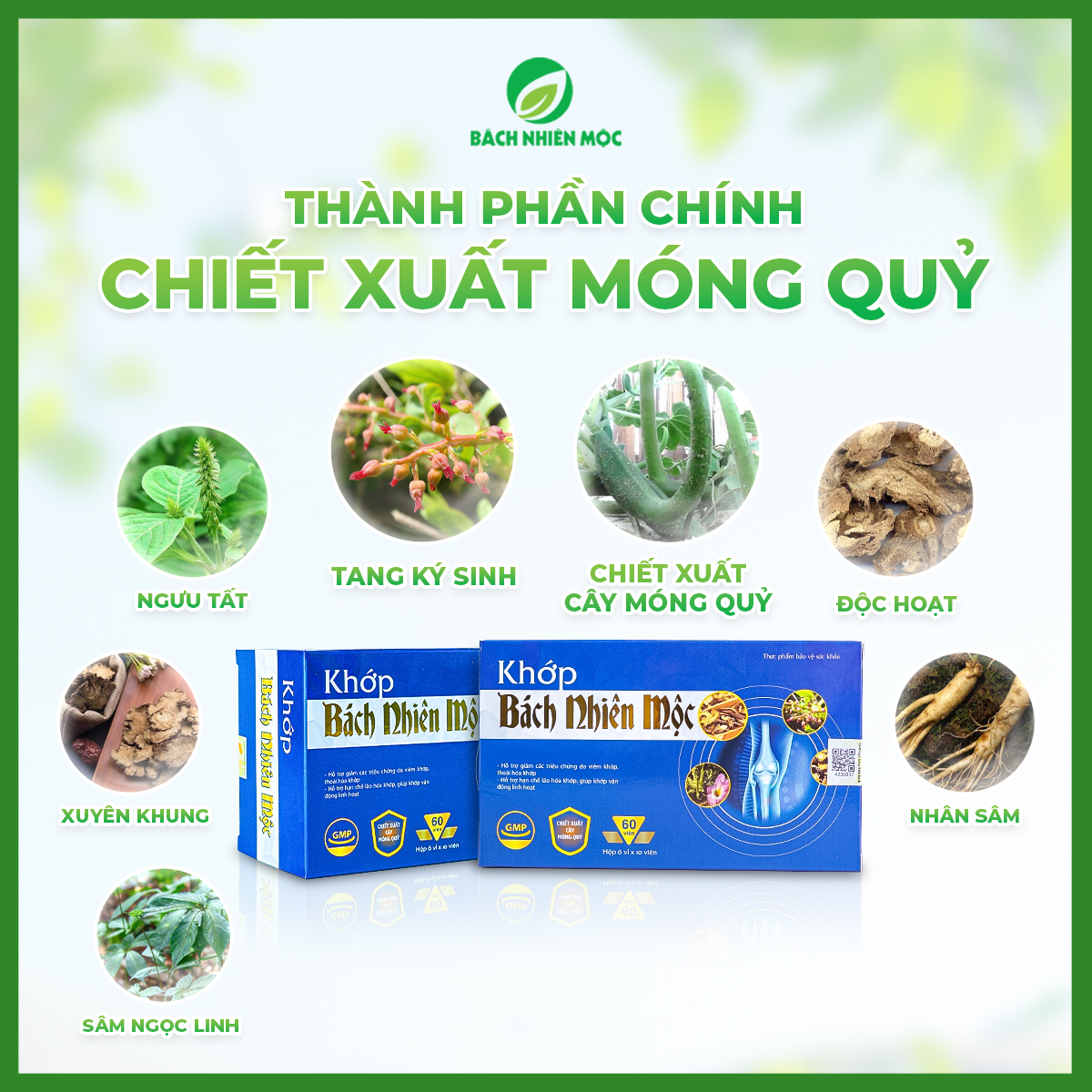 TPBVSK Khớp Bách Nhiên Mộc hỗ trợ giảm các triệu chứng do viêm khớp, thoái hóa khớp ( Hộp 30 viên)