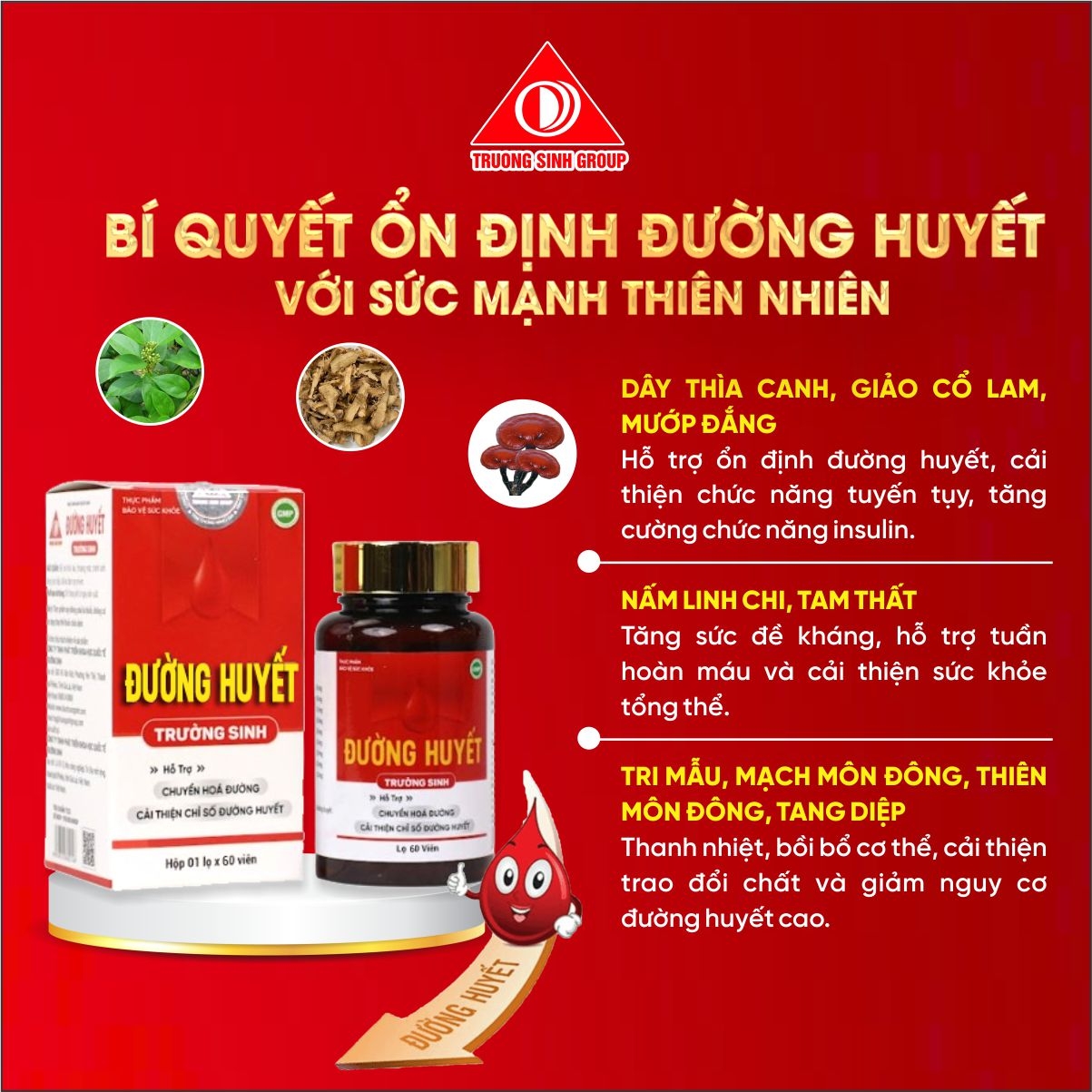 TPBVSK Đường huyết Trường Sinh Hộp 60v