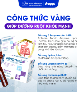 Thực phẩm bảo vệ sức khỏe 6 ENZYMES IP