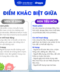 Thực phẩm bảo vệ sức khỏe 6 ENZYMES IP