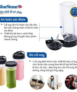 Máy Xay Sinh Tố BlueStone BLB-5310 0.6 Lít 450W