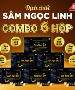 Combo 6 dịch chiết Sâm Ngọc Linh