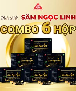 Combo 6 dịch chiết Sâm Ngọc Linh