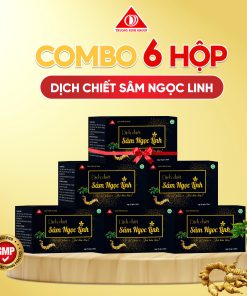 Combo 6 dịch chiết Sâm Ngọc Linh