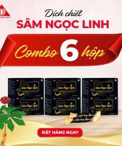Combo 6 dịch chiết Sâm Ngọc Linh