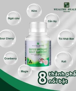 Thực phẩm bảo vệ sức khỏe SUPER URINARY GOUT SUPPORT