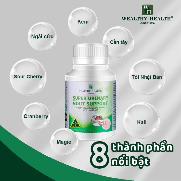Thực phẩm bảo vệ sức khỏe SUPER URINARY GOUT SUPPORT
