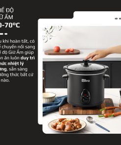 Nồi nấu chậm OLIVO SC25