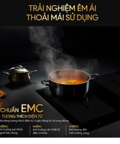 Bếp từ đa vùng nấu BLUESTONE ICB-6869 7200W