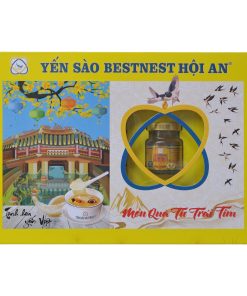 Tổ yến chưng sẵn BESTNEST Hội An 18% Đông trùng hạ thảo Tết 2026 – Hộp cứng 8 hũ