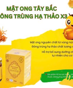 Mật ong Tây Bắc đông trùng hạ thảo X3 (Hũ 240g)