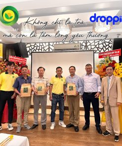 Trà Tim Sen Shan Tuyết Cổ Thụ Sunbeleaf – Thích Hợp Cho Người Chú Trọng Lối Sống Điều Độ Và Sức Khỏe Bên Trong – Hộp 20 Gói Túi Lọc