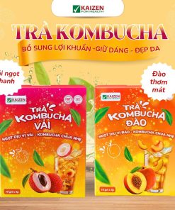 Trà Kombucha Vải ( Hộp 10 gói x 5g)