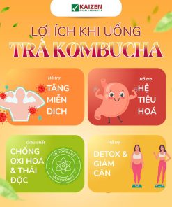 Trà Kombucha Vải ( Hộp 10 gói x 5g)