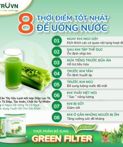 Bột cần tây sấy lạnh Green Filter Celery – Bổ sung chất xơ, thanh lọc cơ thể, giảm cholesterol 30 gói