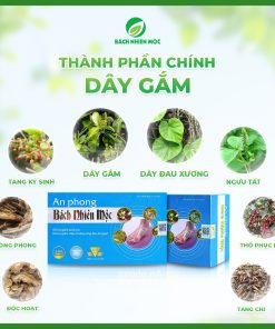 TPBVSK An Phong Bách Nhiên Mộc hỗ trợ giảm acid uric, giảm sưng đau do gout (Hộp 60 viên)
