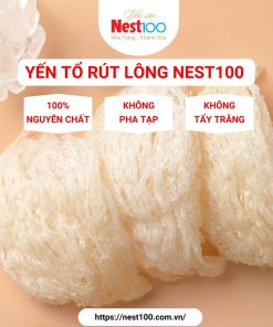 Yến tổ Nest100 – Rút lông loại đặc biệt (50g + túi)
