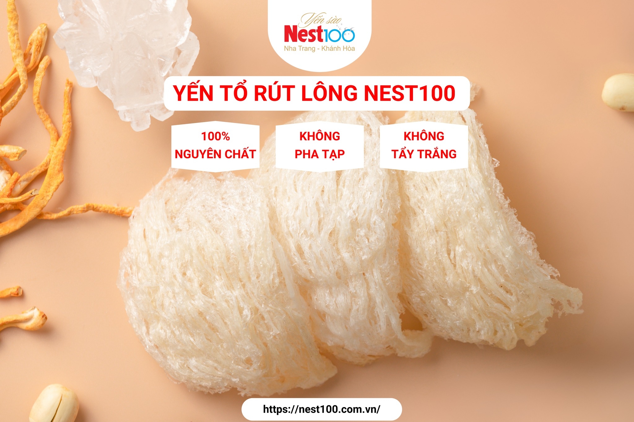 Yến tổ Nest100 – Rút lông loại đặc biệt (50g + túi)